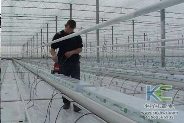 無土栽培，無土栽培技術(shù)，無土栽培設備