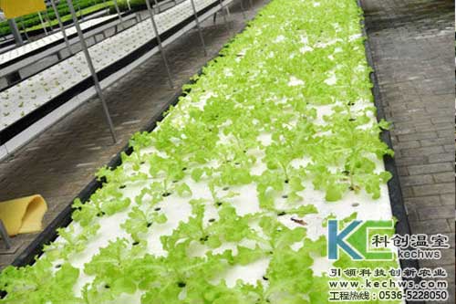 無土栽培，無土栽培技術，無土栽培設備