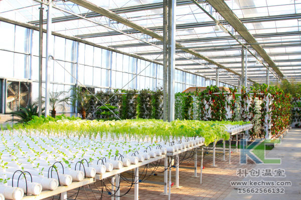 無土栽培，無土栽培技術，無土栽培設備