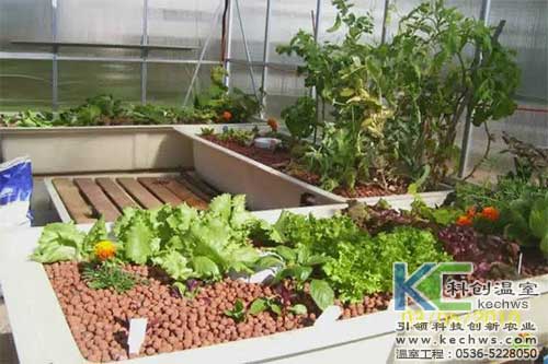 無(wú)土栽培，無(wú)土栽培技術(shù)，無(wú)土栽培設(shè)備