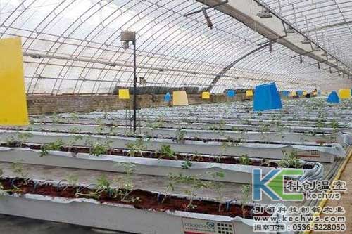 無土栽培，無土栽培技術(shù)，無土栽培設(shè)備