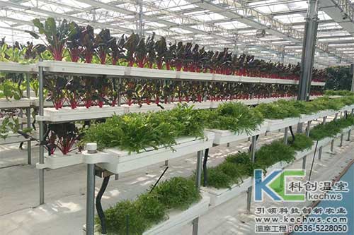 無土栽培，無土栽培技術，無土栽培設備