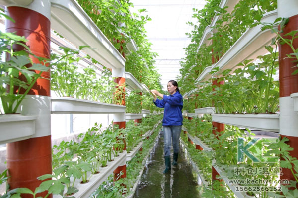 無土栽培，無土栽培技術，無土栽培設備