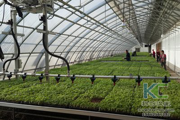 現(xiàn)代農(nóng)業(yè)生態(tài)，。無(wú)土栽培技術(shù)，無(wú)土栽培，溫室大棚