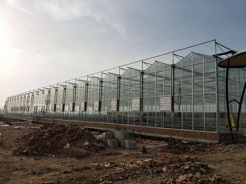 無土栽培，無土栽培技術，無土栽培設備