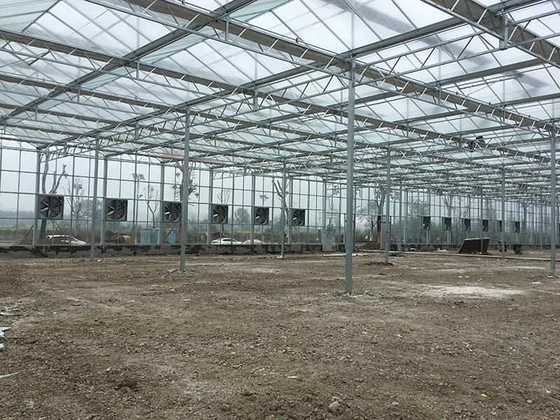 無土栽培，無土栽培技術，無土栽培設備