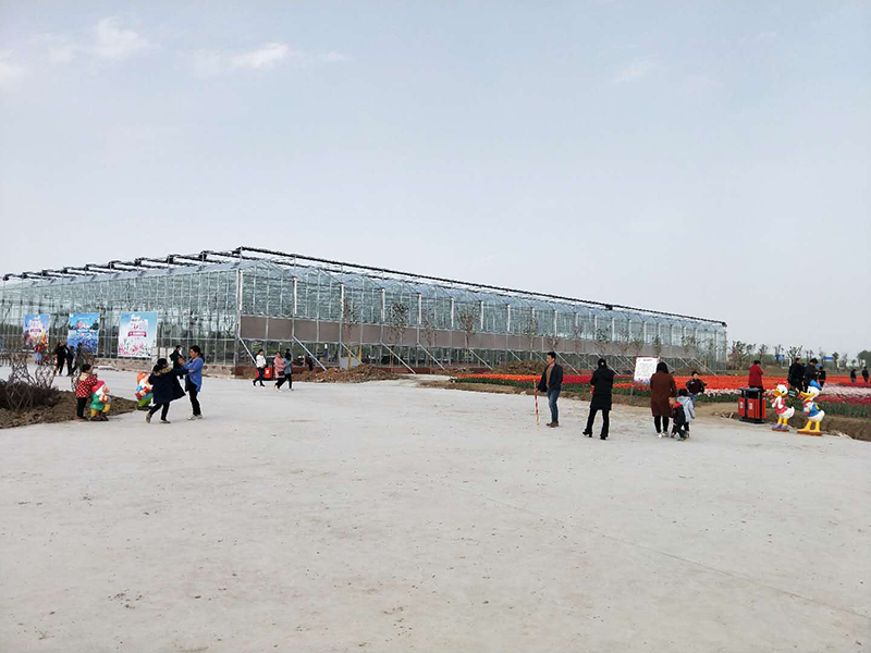 無土栽培，無土栽培技術，無土栽培設備