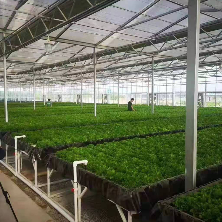 無(wú)土栽培，無(wú)土栽培技術(shù)，無(wú)土栽培設(shè)備