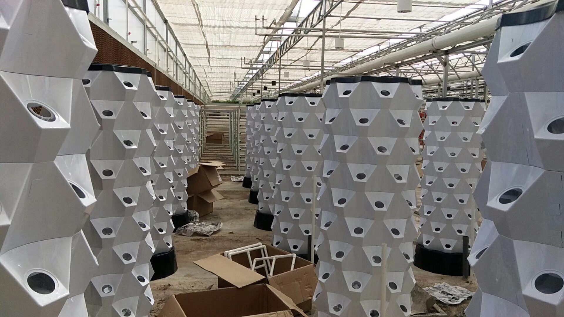 無土栽培,無土栽培技術(shù),無土栽培設(shè)備