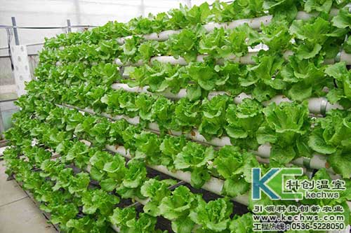 無土栽培，無土栽培技術，無土栽培設備