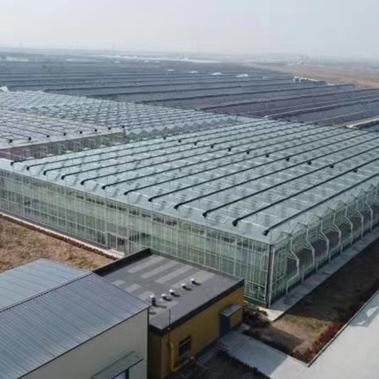 無(wú)土栽培，無(wú)土栽培技術(shù)，無(wú)土栽培設(shè)備