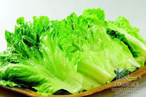 無土栽培，無土栽培技術(shù)，無土栽培設(shè)備