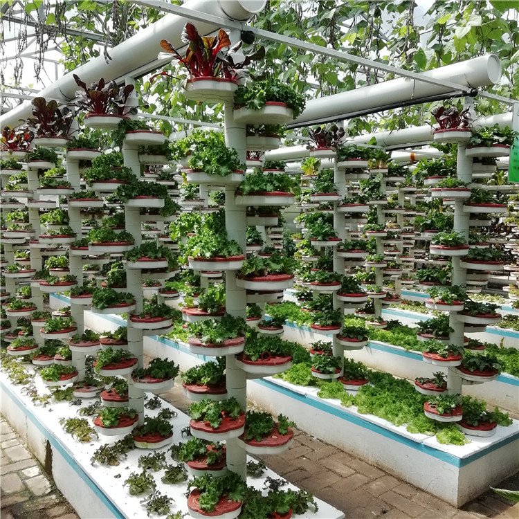 無(wú)土栽培，無(wú)土栽培技術(shù)，無(wú)土栽培設(shè)備