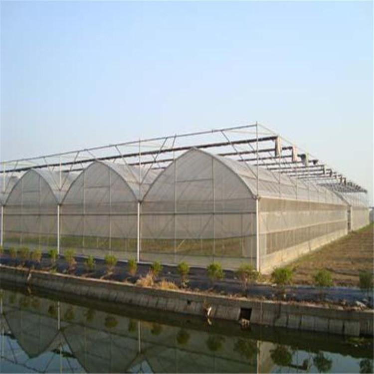 無土栽培，無土栽培技術，無土栽培設備