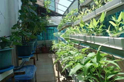 無土栽培，無土栽培技術，無土栽培設備