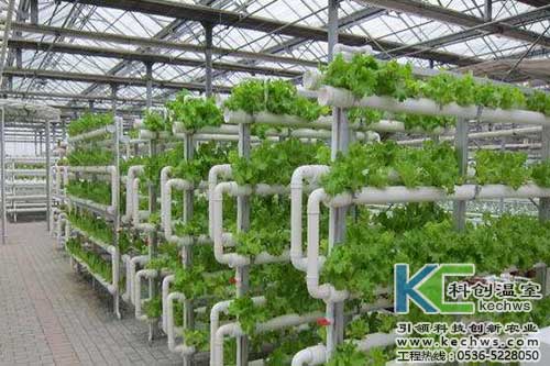無土栽培，無土栽培技術，無土栽培設備