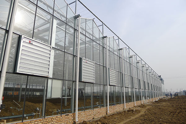 無土栽培，無土栽培技術，無土栽培設備