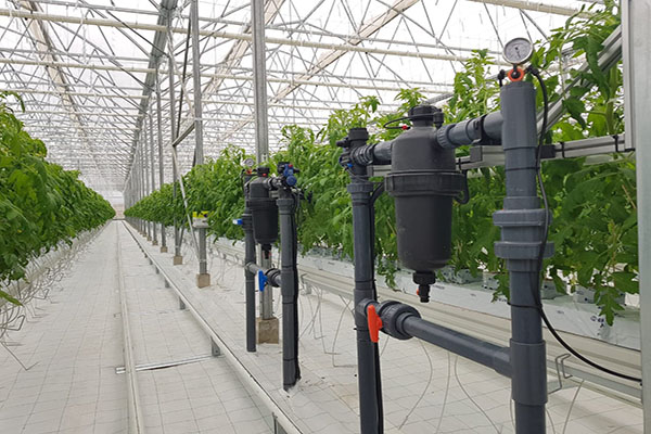 無土栽培，無土栽培技術(shù)，無土栽培設(shè)備